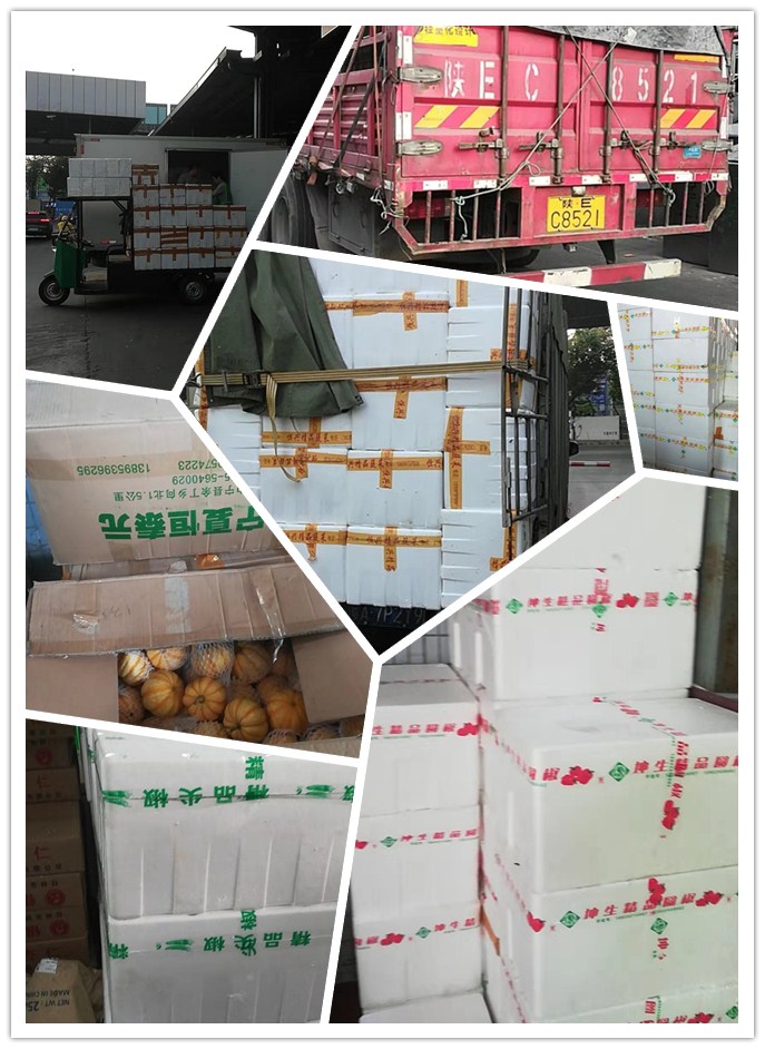 德赢·(VWIN)官方网站-AC米兰官方合作同伴