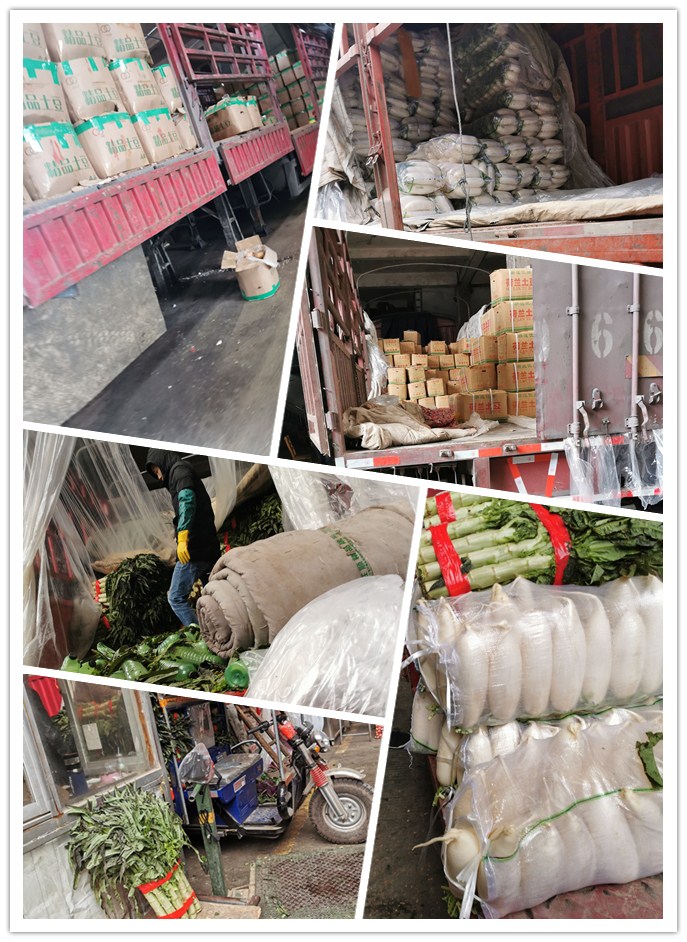 德赢·(VWIN)官方网站-AC米兰官方合作同伴