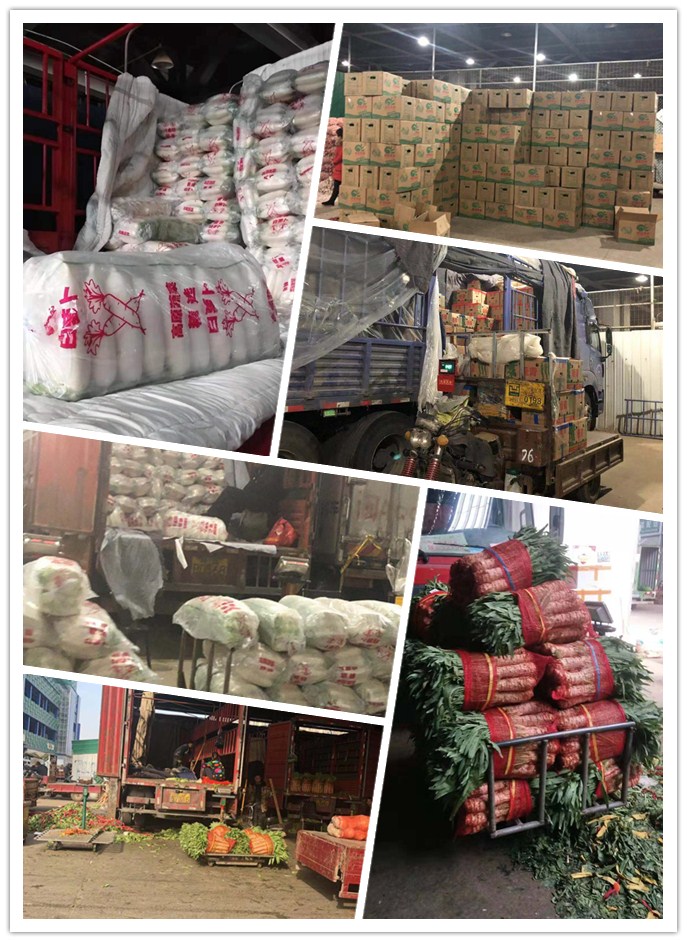 德赢·(VWIN)官方网站-AC米兰官方合作同伴