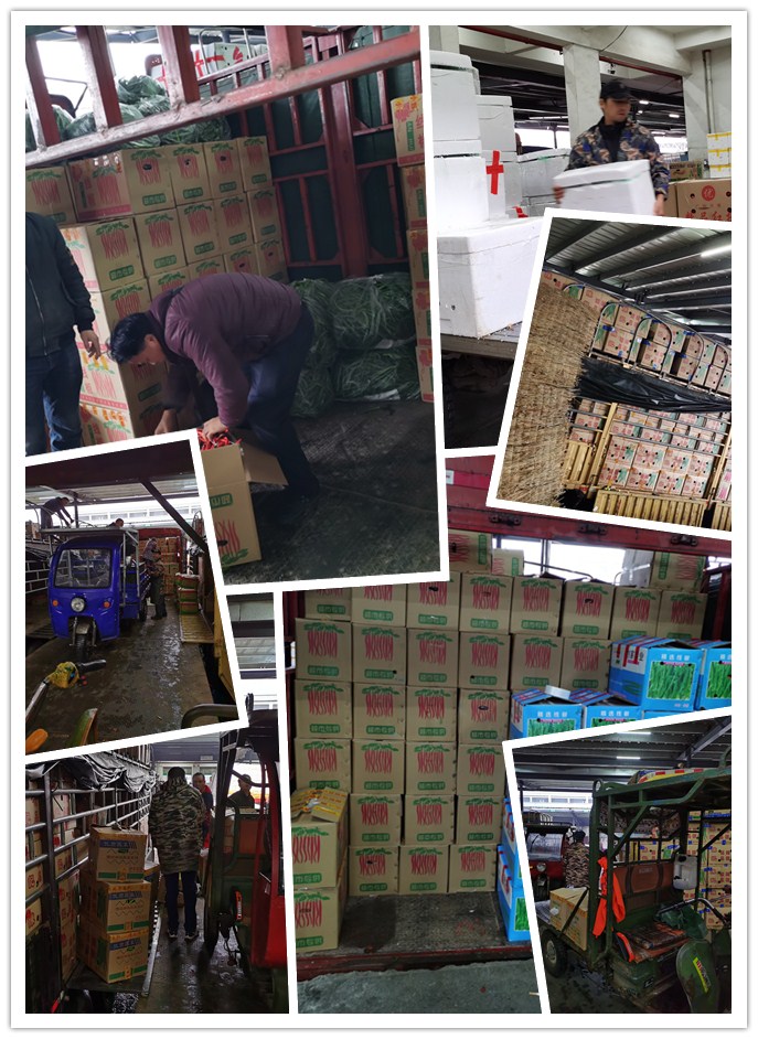 德赢·(VWIN)官方网站-AC米兰官方合作同伴