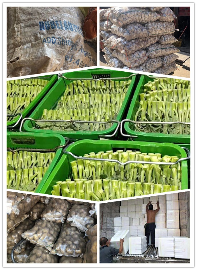 德赢·(VWIN)官方网站-AC米兰官方合作同伴