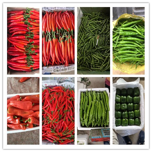 德赢·(VWIN)官方网站-AC米兰官方合作同伴