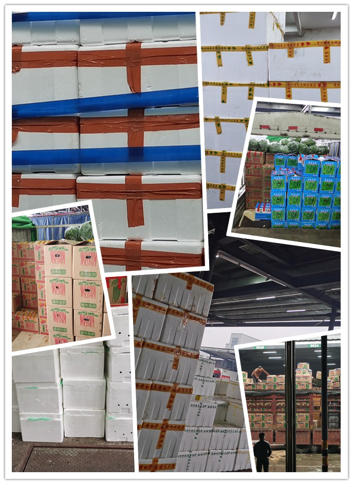 德赢·(VWIN)官方网站-AC米兰官方合作同伴