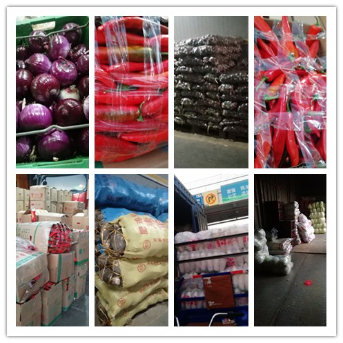 德赢·(VWIN)官方网站-AC米兰官方合作同伴