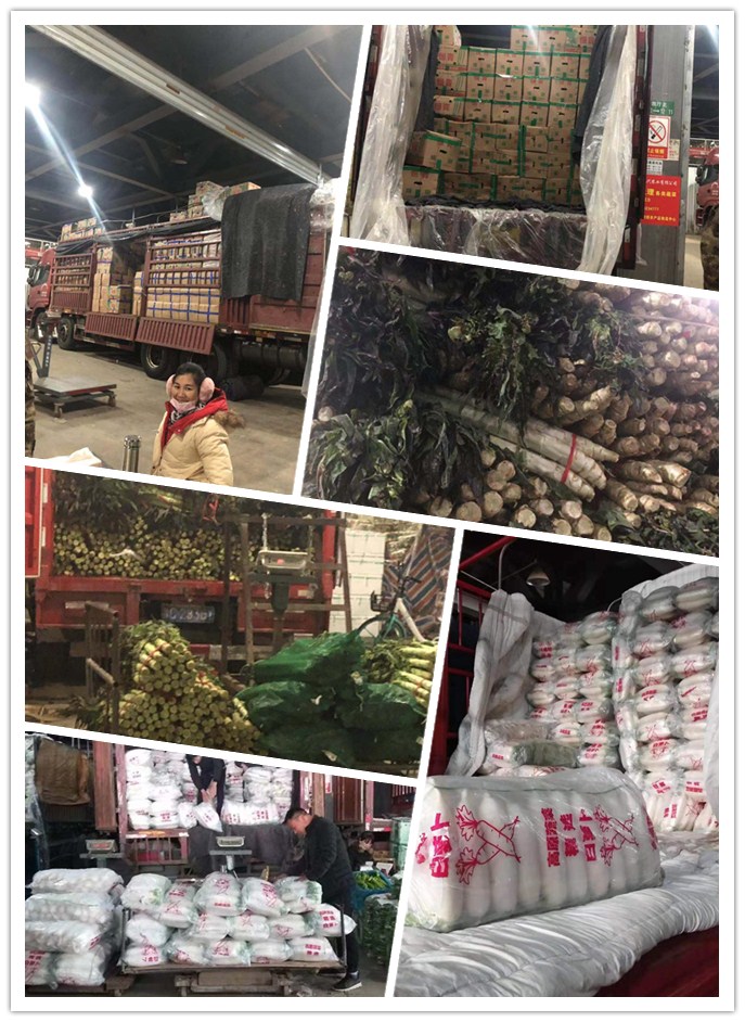 德赢·(VWIN)官方网站-AC米兰官方合作同伴