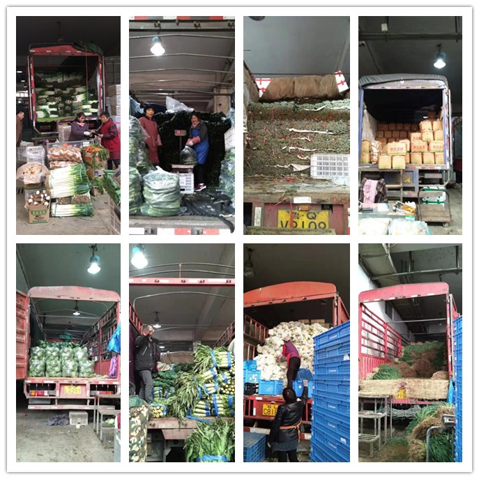 德赢·(VWIN)官方网站-AC米兰官方合作同伴