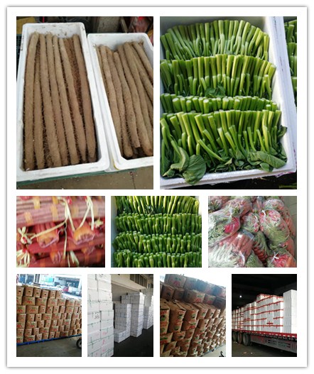 德赢·(VWIN)官方网站-AC米兰官方合作同伴