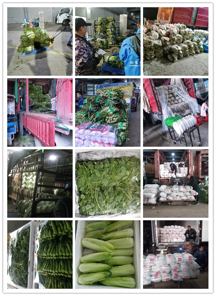 德赢·(VWIN)官方网站-AC米兰官方合作同伴