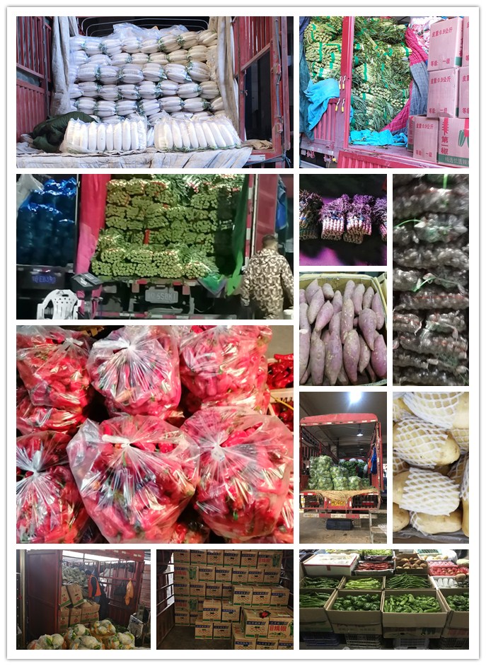 德赢·(VWIN)官方网站-AC米兰官方合作同伴