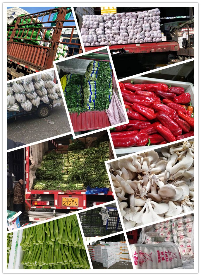 德赢·(VWIN)官方网站-AC米兰官方合作同伴