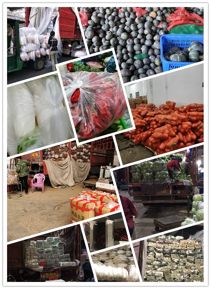 德赢·(VWIN)官方网站-AC米兰官方合作同伴