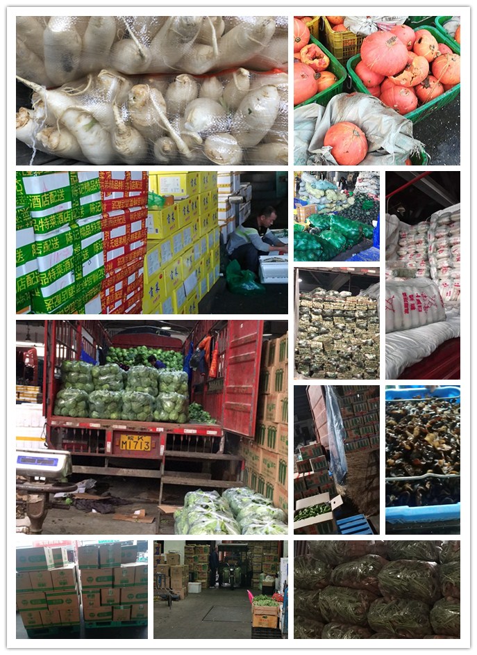 德赢·(VWIN)官方网站-AC米兰官方合作同伴