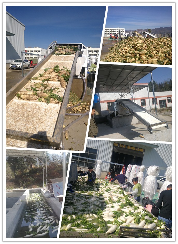 德赢·(VWIN)官方网站-AC米兰官方合作同伴