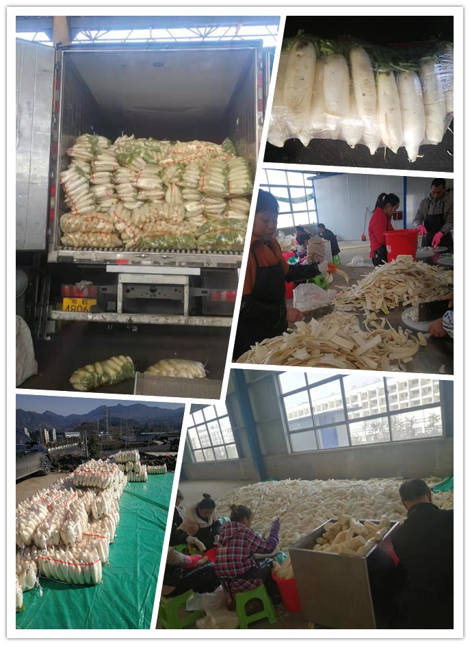 德赢·(VWIN)官方网站-AC米兰官方合作同伴