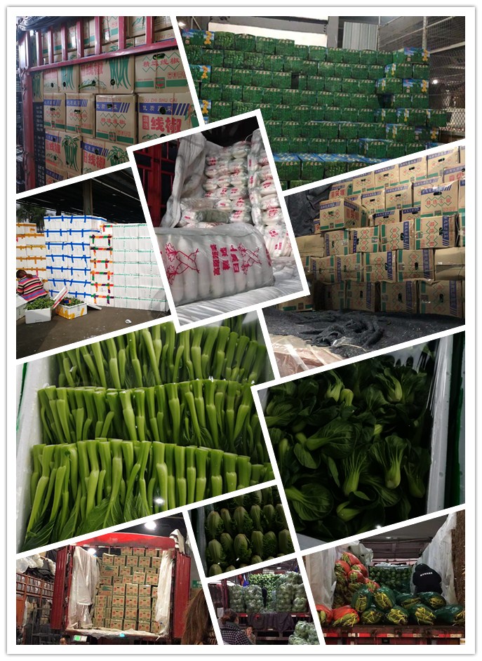 德赢·(VWIN)官方网站-AC米兰官方合作同伴