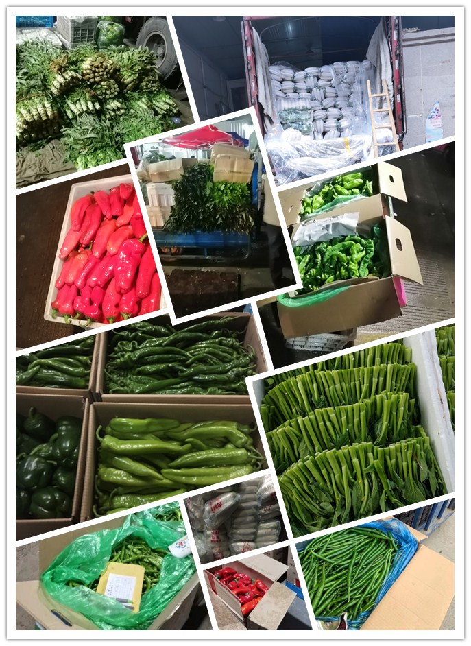 德赢·(VWIN)官方网站-AC米兰官方合作同伴