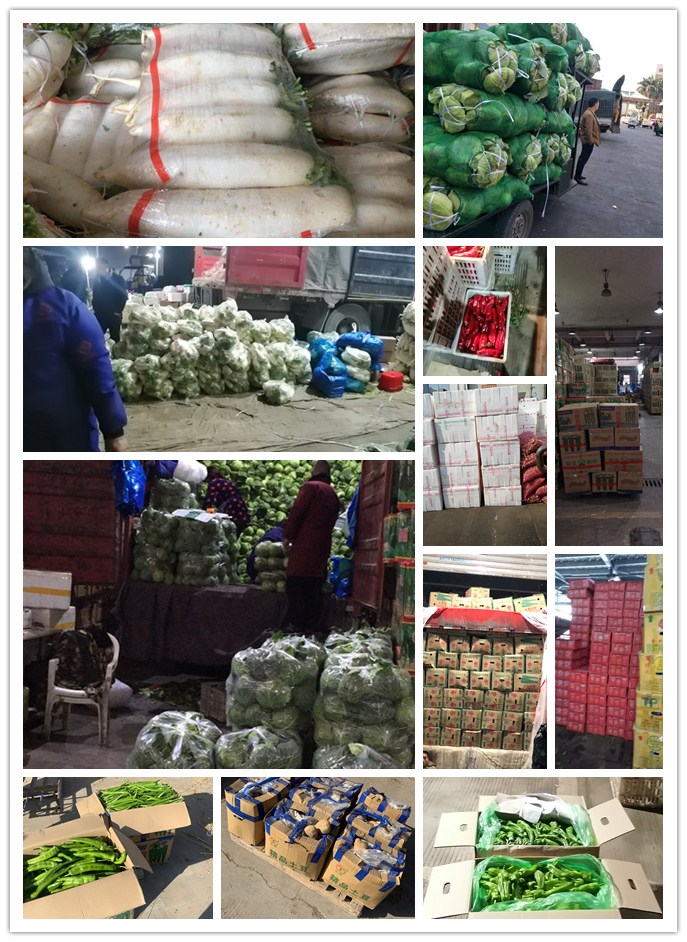 德赢·(VWIN)官方网站-AC米兰官方合作同伴