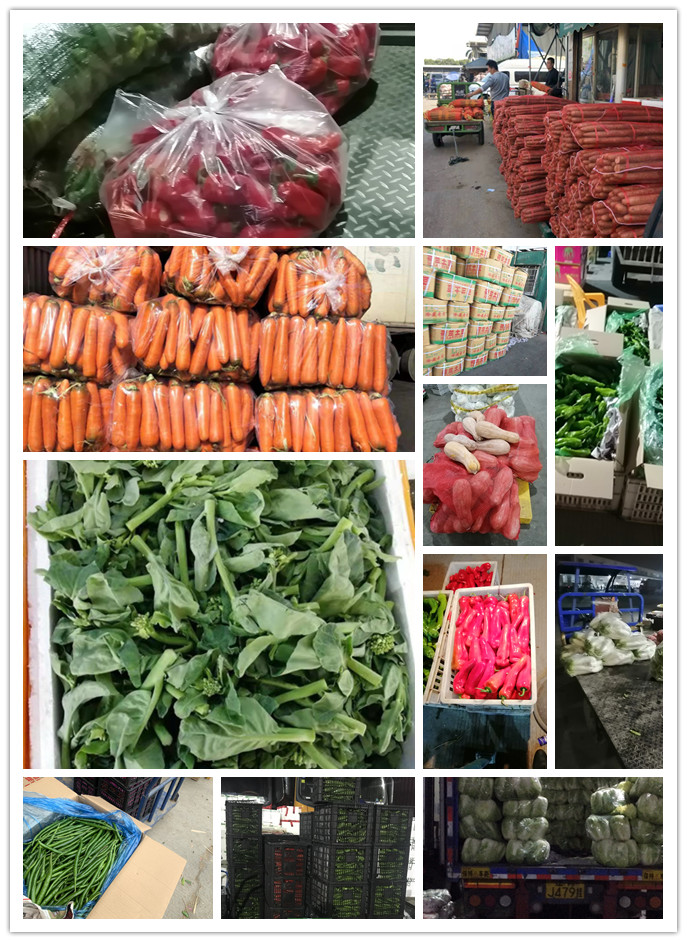 德赢·(VWIN)官方网站-AC米兰官方合作同伴