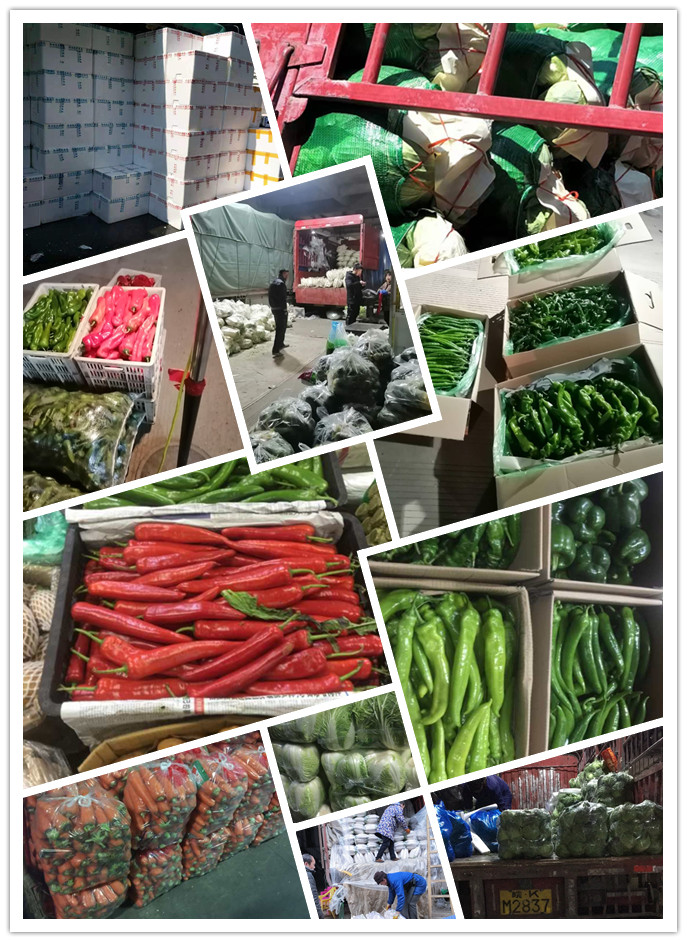 德赢·(VWIN)官方网站-AC米兰官方合作同伴