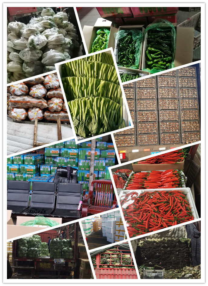 德赢·(VWIN)官方网站-AC米兰官方合作同伴