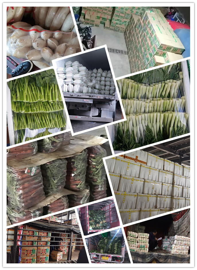 德赢·(VWIN)官方网站-AC米兰官方合作同伴