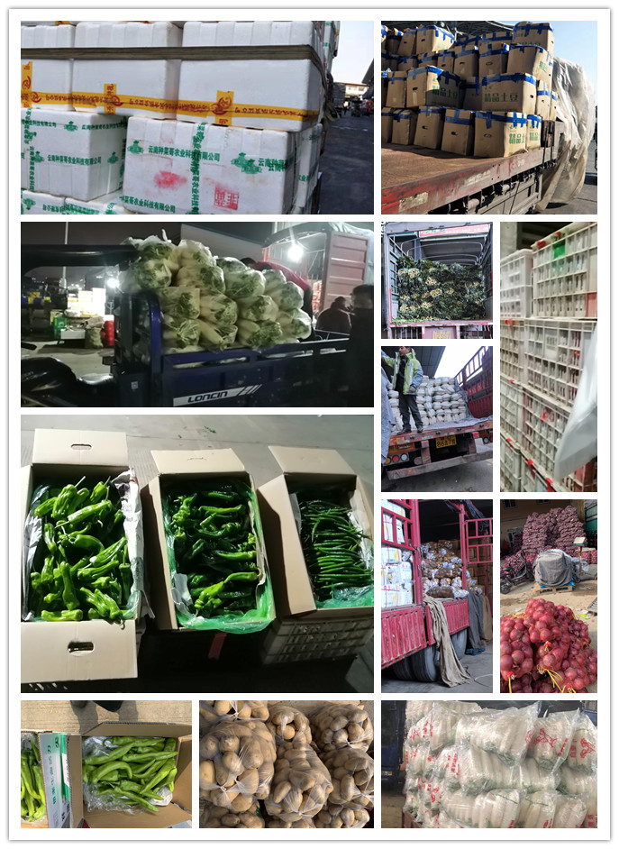 德赢·(VWIN)官方网站-AC米兰官方合作同伴