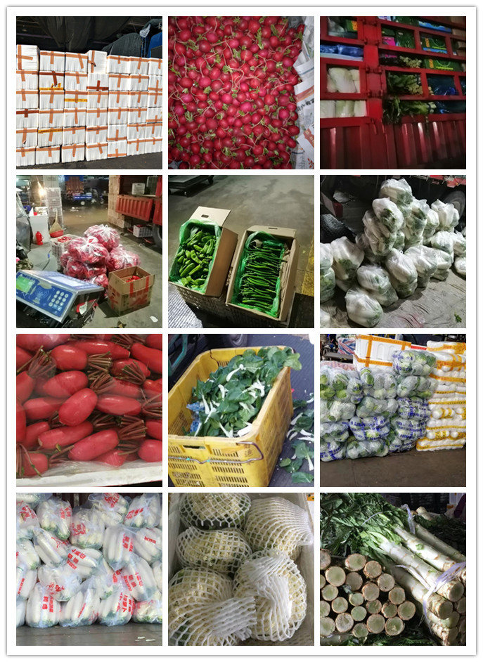 德赢·(VWIN)官方网站-AC米兰官方合作同伴