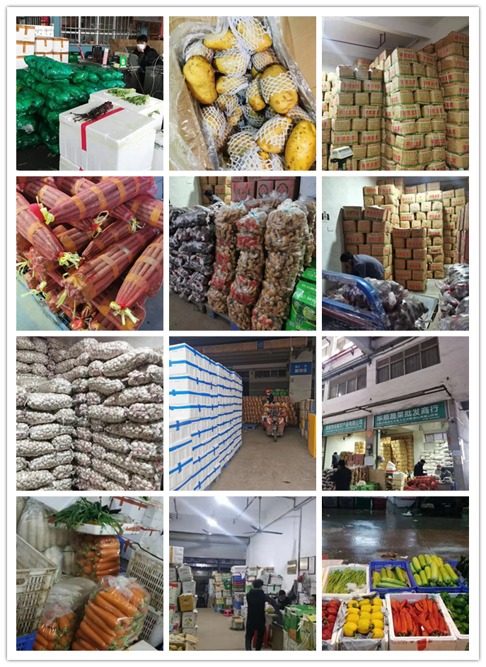 德赢·(VWIN)官方网站-AC米兰官方合作同伴