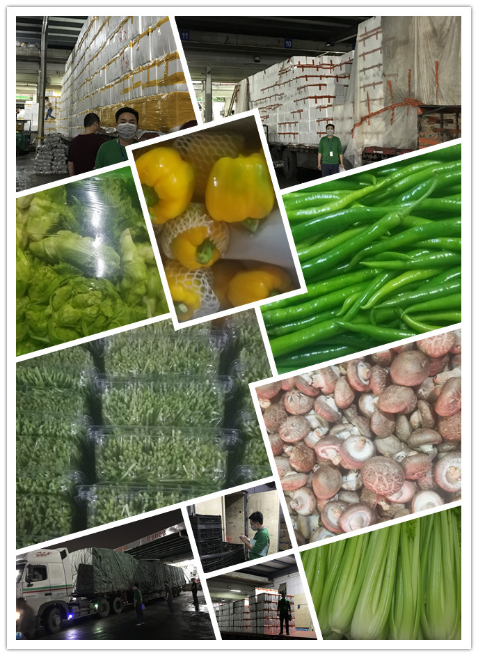 德赢·(VWIN)官方网站-AC米兰官方合作同伴