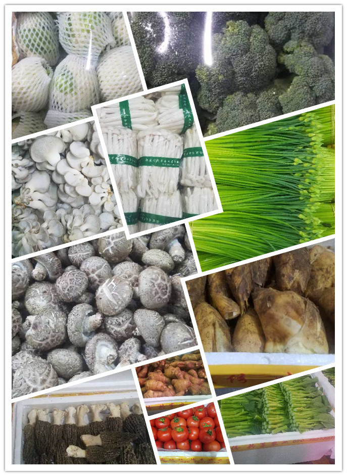 德赢·(VWIN)官方网站-AC米兰官方合作同伴