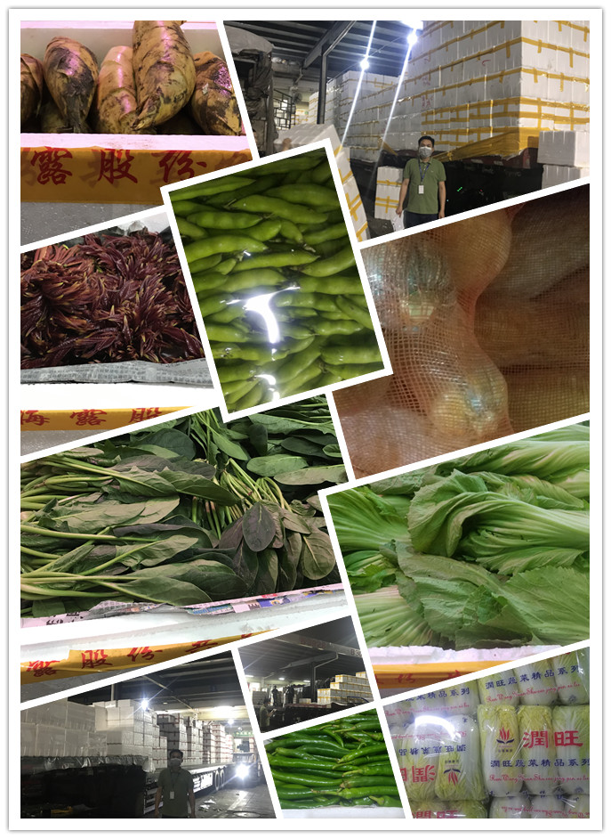 德赢·(VWIN)官方网站-AC米兰官方合作同伴