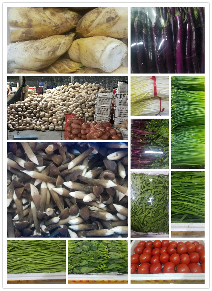 德赢·(VWIN)官方网站-AC米兰官方合作同伴