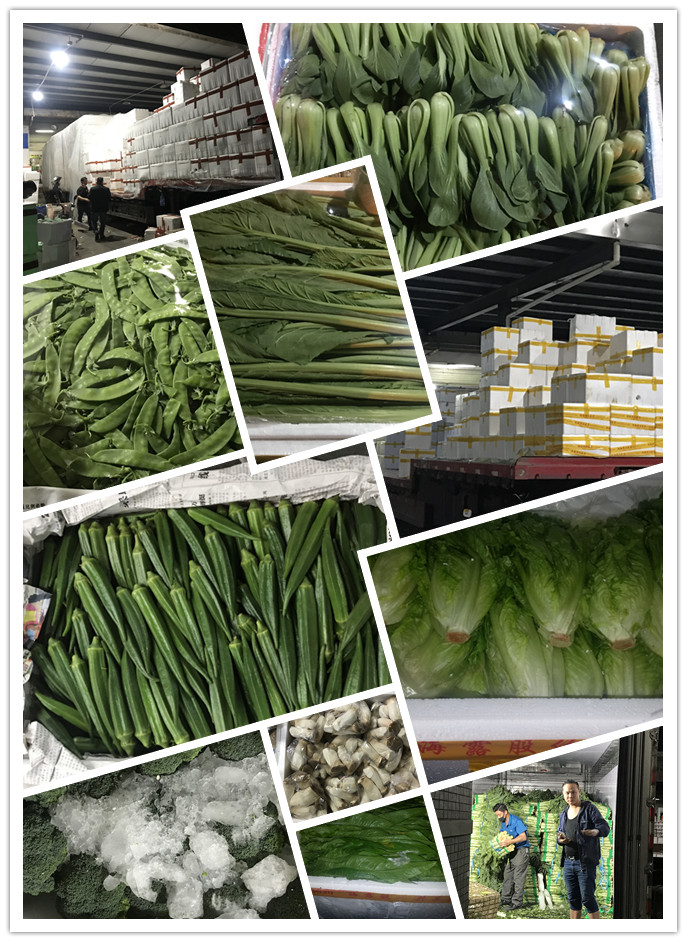 德赢·(VWIN)官方网站-AC米兰官方合作同伴