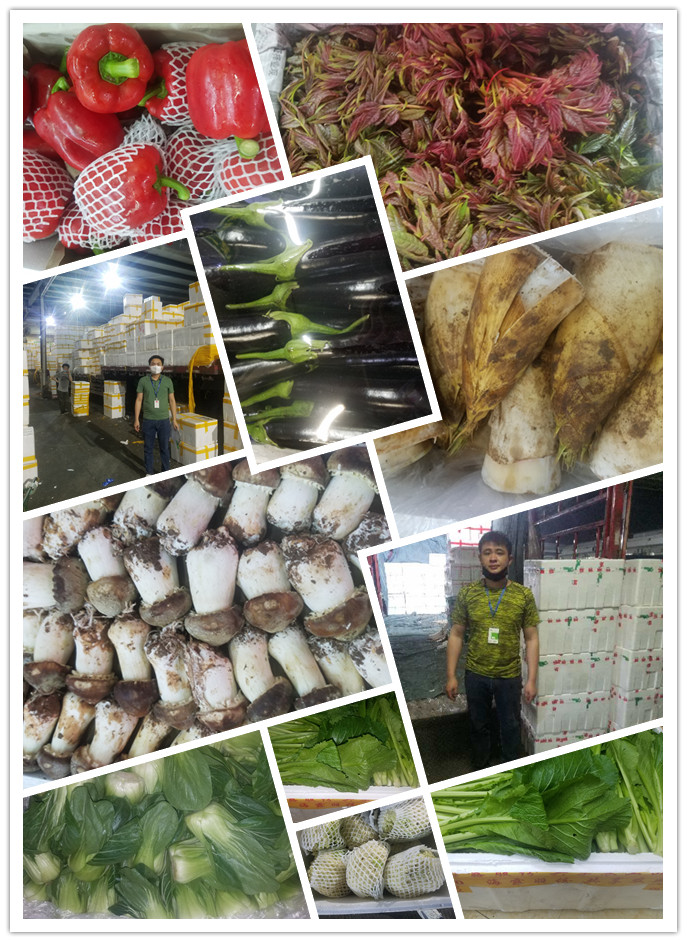 德赢·(VWIN)官方网站-AC米兰官方合作同伴