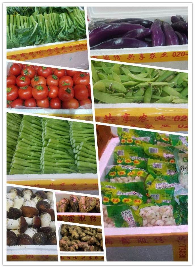 德赢·(VWIN)官方网站-AC米兰官方合作同伴