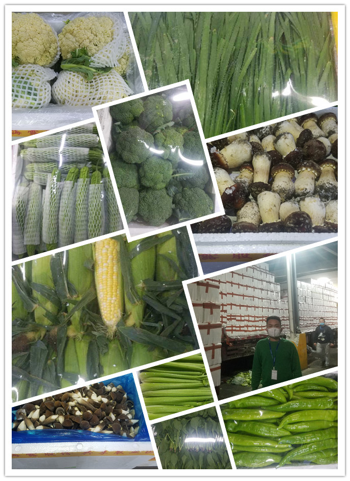 德赢·(VWIN)官方网站-AC米兰官方合作同伴