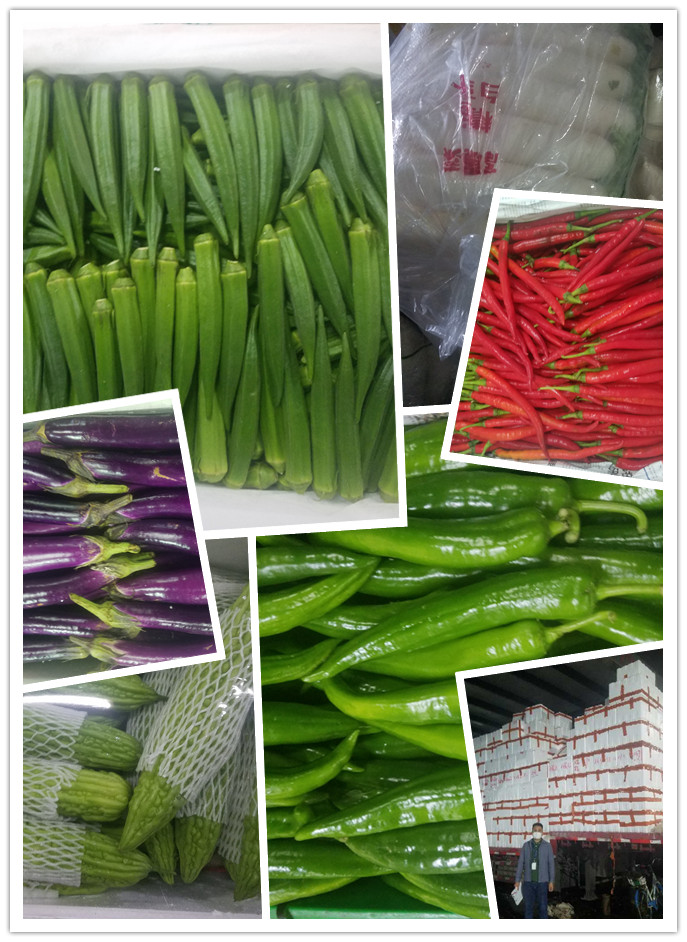 德赢·(VWIN)官方网站-AC米兰官方合作同伴