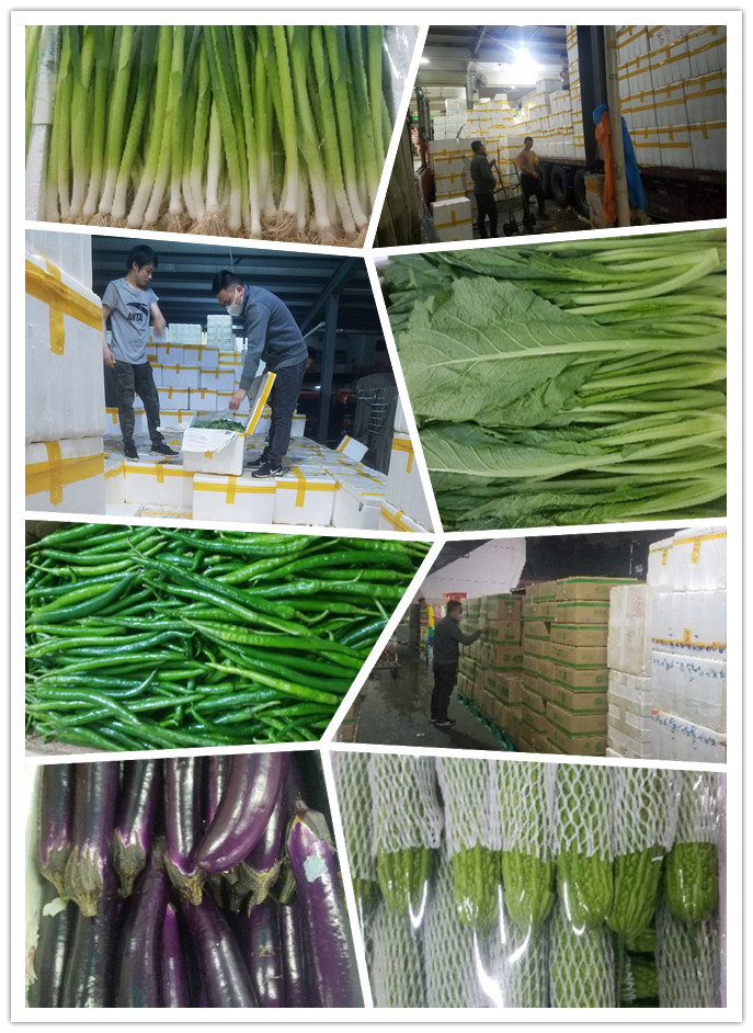 德赢·(VWIN)官方网站-AC米兰官方合作同伴