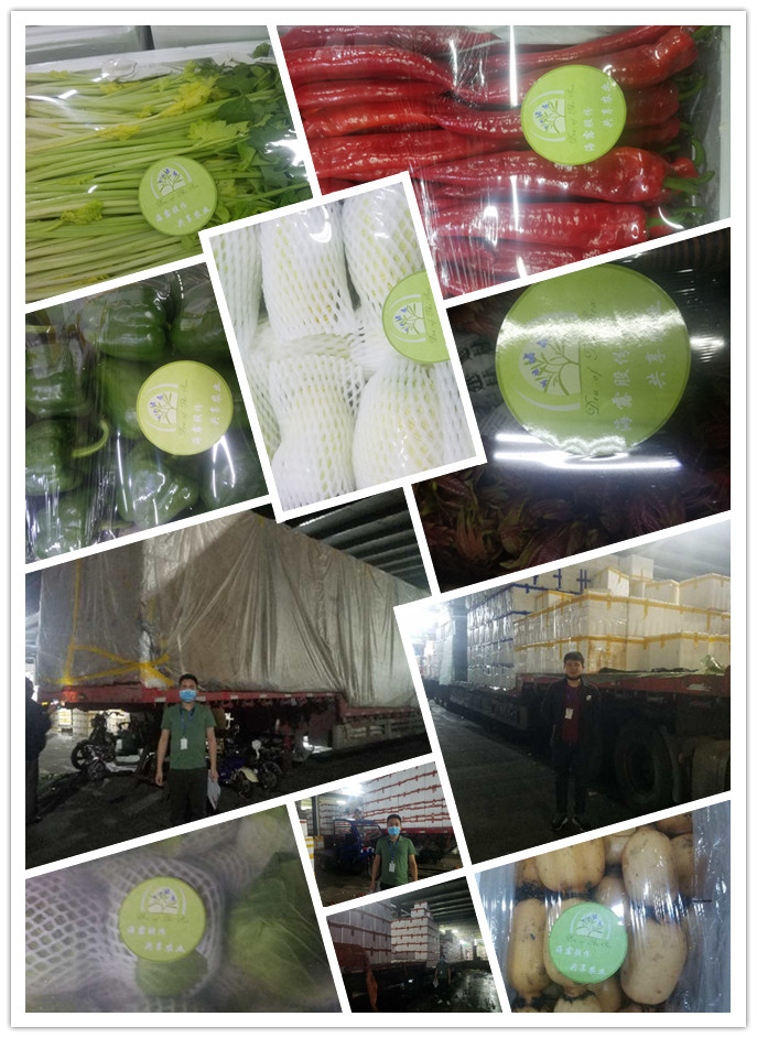 德赢·(VWIN)官方网站-AC米兰官方合作同伴