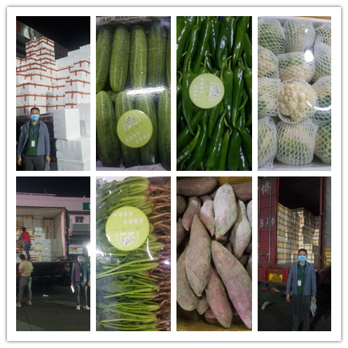 德赢·(VWIN)官方网站-AC米兰官方合作同伴