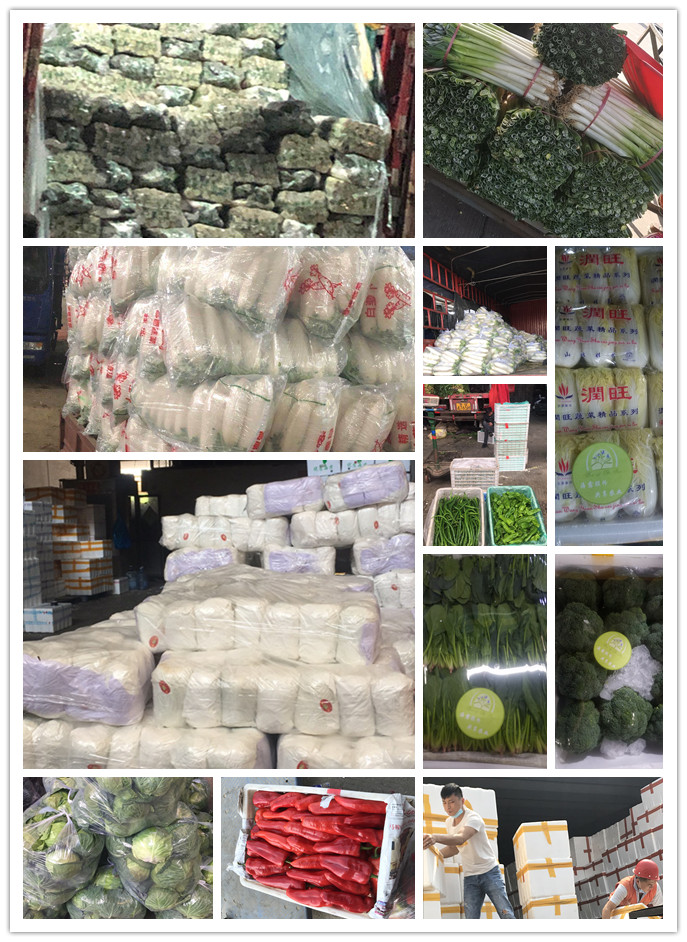 德赢·(VWIN)官方网站-AC米兰官方合作同伴