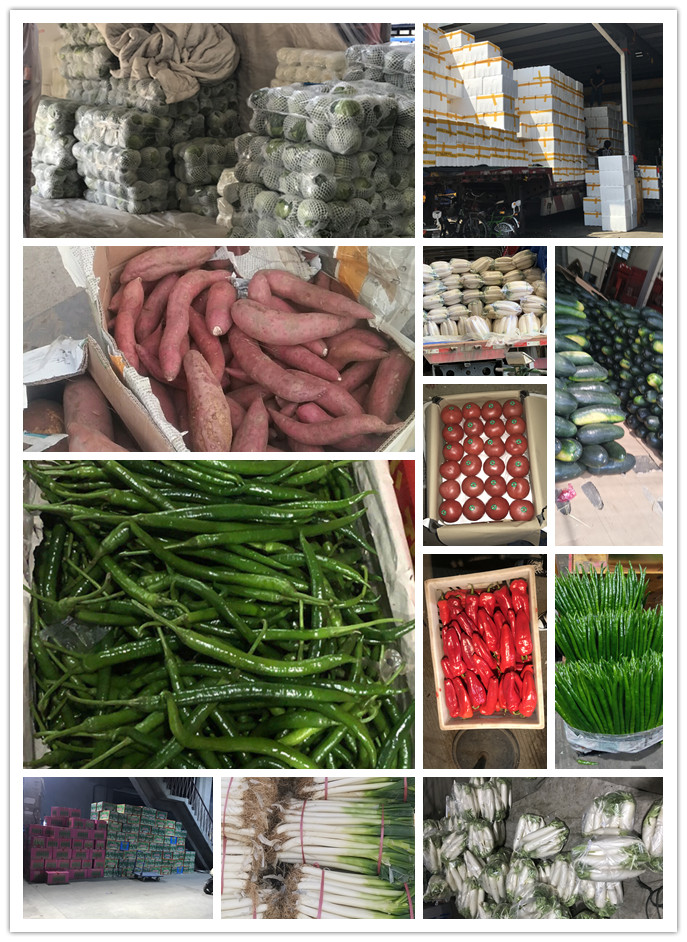 德赢·(VWIN)官方网站-AC米兰官方合作同伴