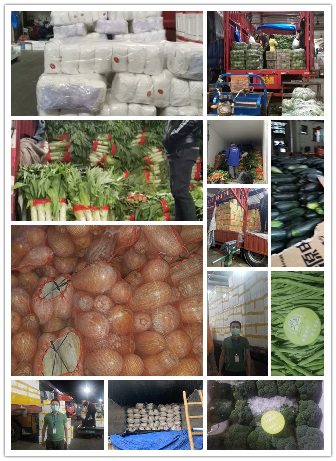 德赢·(VWIN)官方网站-AC米兰官方合作同伴