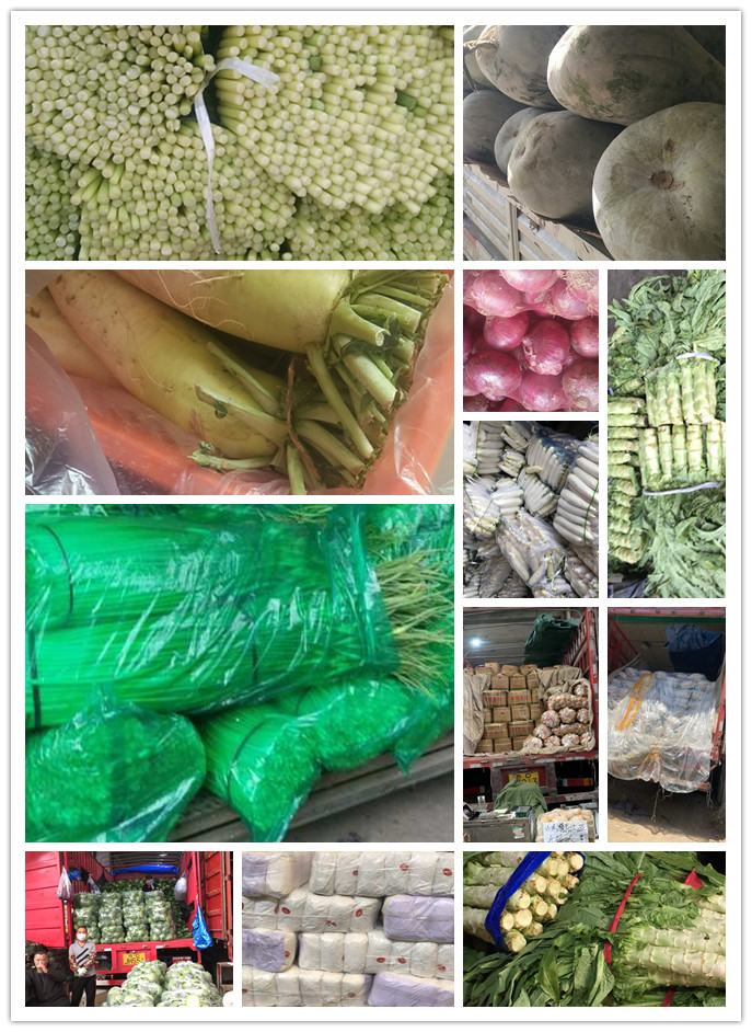 德赢·(VWIN)官方网站-AC米兰官方合作同伴