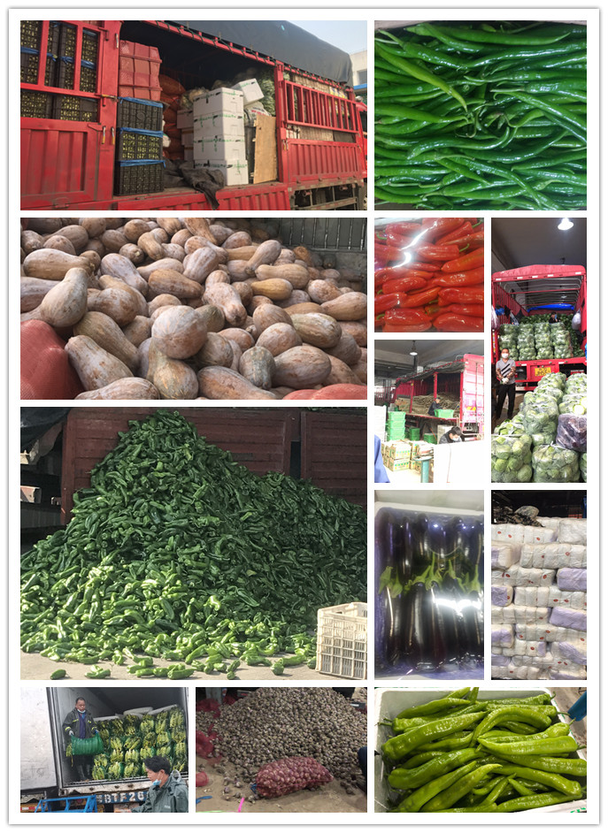 德赢·(VWIN)官方网站-AC米兰官方合作同伴