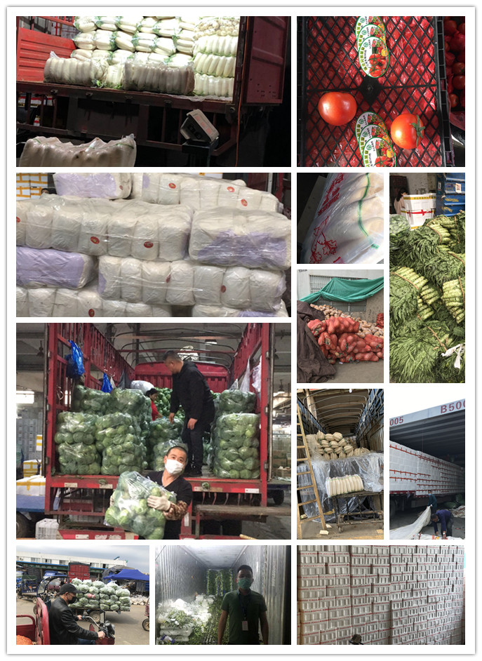 德赢·(VWIN)官方网站-AC米兰官方合作同伴