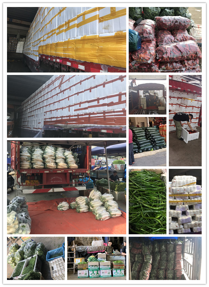 德赢·(VWIN)官方网站-AC米兰官方合作同伴