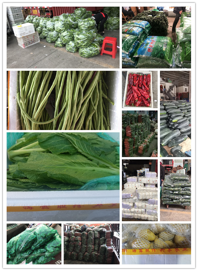 德赢·(VWIN)官方网站-AC米兰官方合作同伴