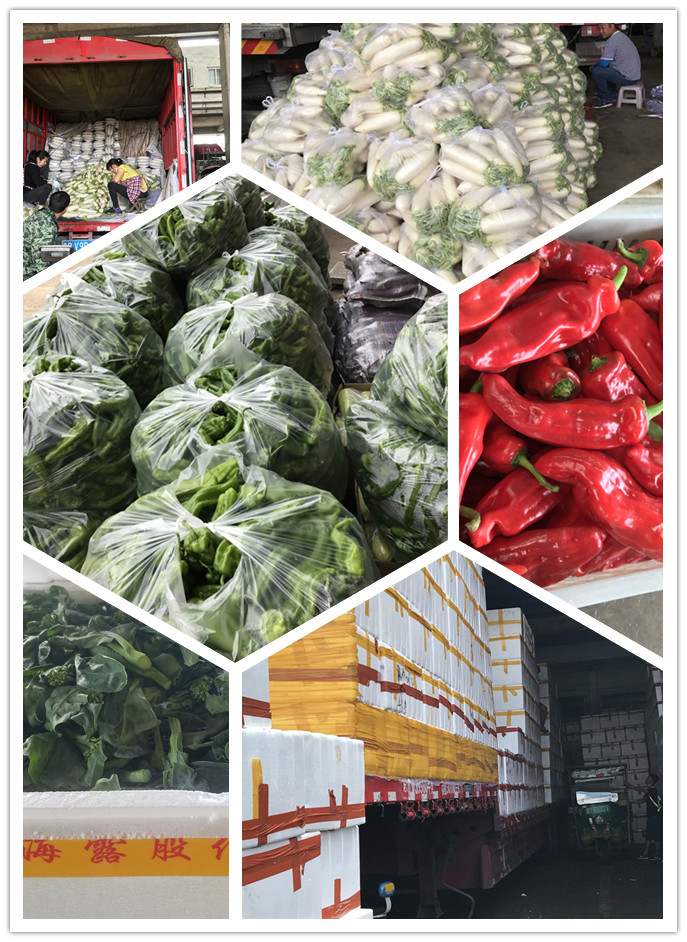 德赢·(VWIN)官方网站-AC米兰官方合作同伴