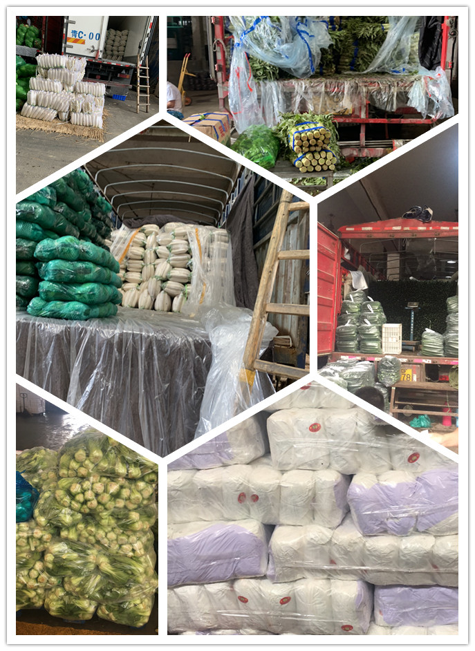 德赢·(VWIN)官方网站-AC米兰官方合作同伴